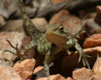 /album/fotos-afrika/el-11-small-jpg/